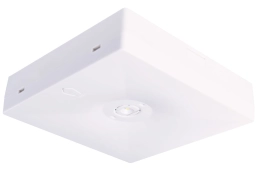 391 lm Anti-paniekverlichting